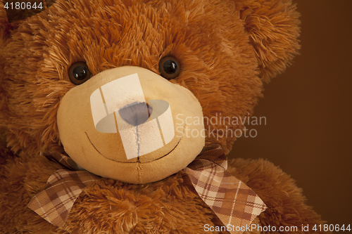 Image of  teddy-bear huge eyes smiling