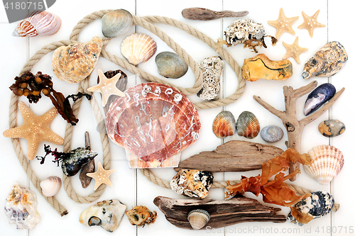 Image of Natural Seaside Objects