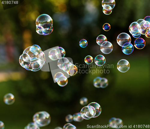 Image of Soap bubbles