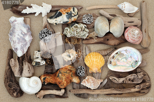 Image of Seashell Driftwood and Rock Abstract