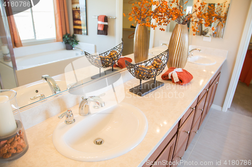 Image of Beautifully Decorated New Modern Home Bathroom Sink, Faucet and 