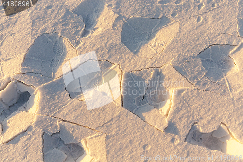 Image of tracks in the snow