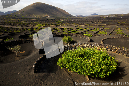 Image of lanzarote spain la geria cultivation winery