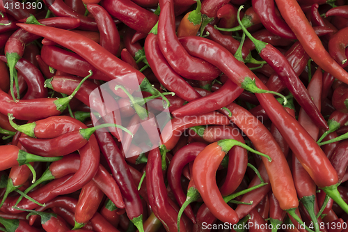 Image of Red peppers