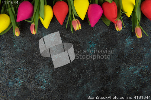Image of Handmade and real tulips on darken
