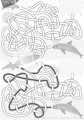 Image of Vaquita maze