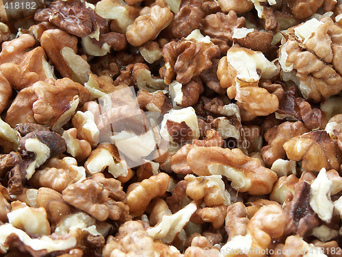 Image of Walnuts
