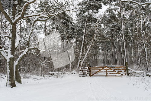 Image of Stile with a wooden gate in a snowy forest
