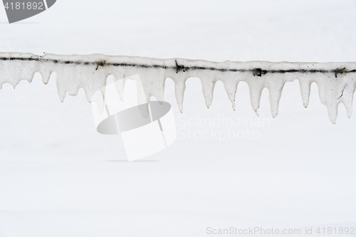 Image of Ice covered barb wire