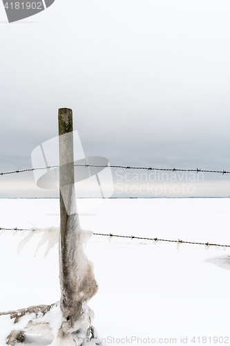 Image of Icy fence post with barbwire