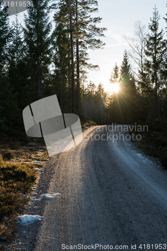 Image of Dirt road in evening sunshine