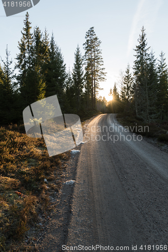 Image of Evening sun by a gravel road