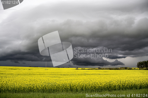 Image of Storm Clouds Saskatchewan