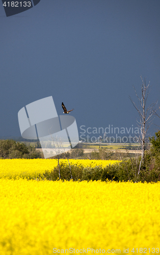 Image of Storm Clouds Saskatchewan