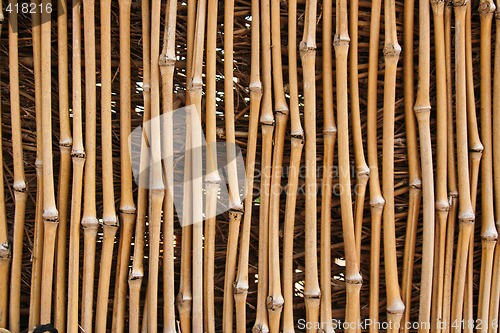 Image of Bamboo Texture