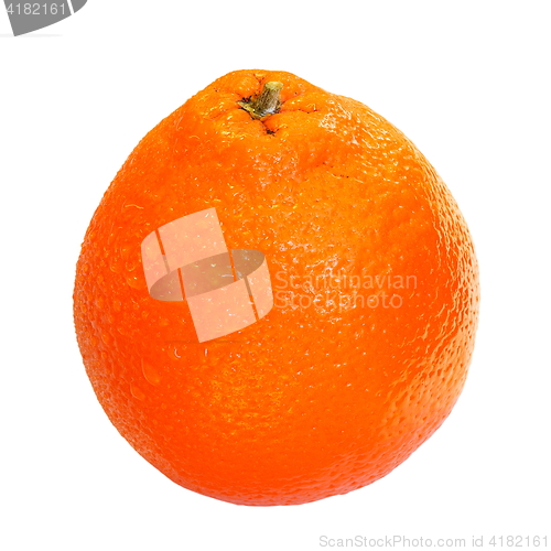 Image of orange over white