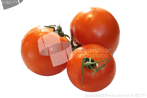 Image of three tomatoes isolated over white