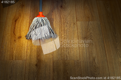 Image of wet mop on wooden floor
