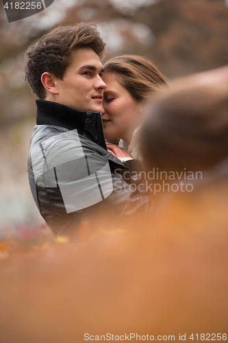 Image of Autumn portrait of attractive happy couple