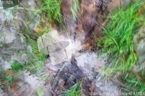 Image of Zooming into frozen grass and leaves