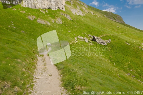 Image of Alpine Summer Landscape