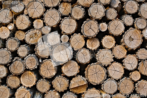 Image of Log wood pile