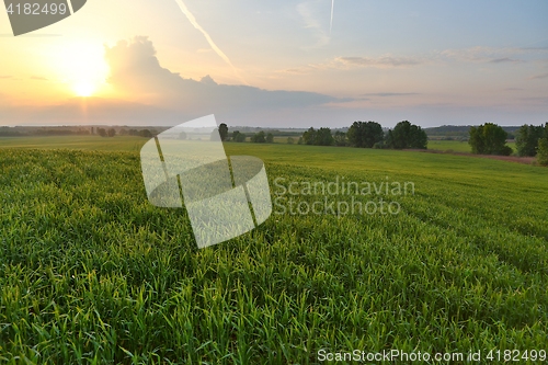 Image of Agircutural landscape in sunlight