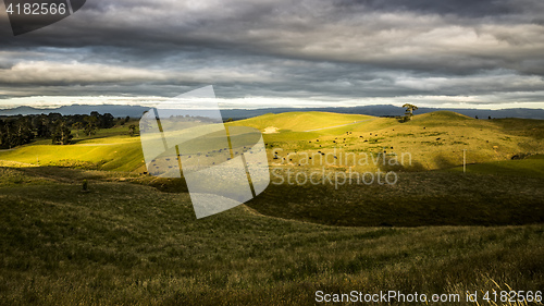 Image of sunset landscape with cows