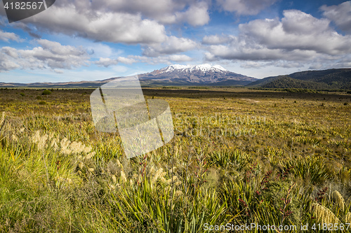 Image of Mount Ruapehu volcano in New Zealand