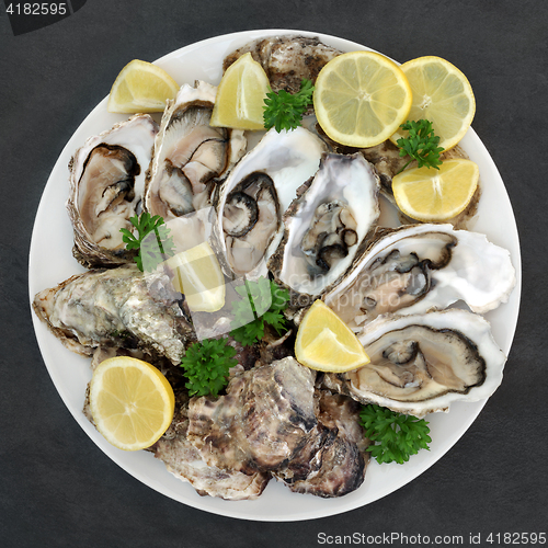 Image of Oysters Lemon and Parsley 