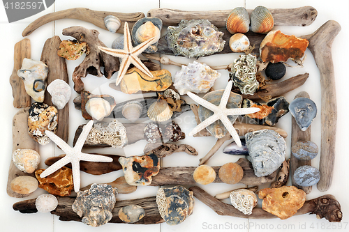 Image of Natural Objects from the Beach