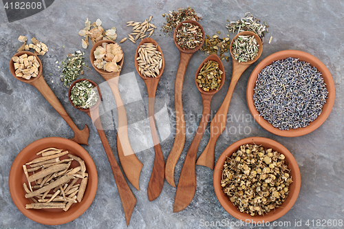 Image of Healing Herbs for Sleeping Disorders