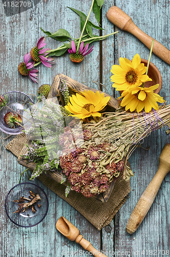 Image of Medicinal herbs and plants