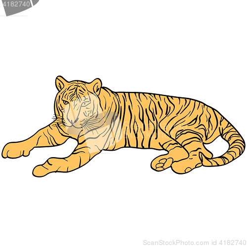 Image of Sketch beautiful tiger on a white background. illustration