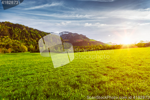 Image of Alpine meadow in Bavaria,  Germany