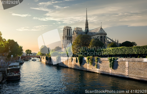 Image of Notre-Dame in the morning