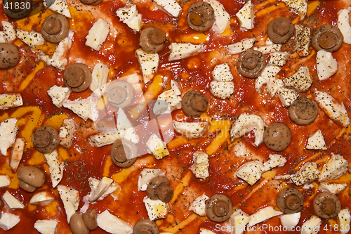 Image of Close-up surface of a mushroom and mozzarella pizza