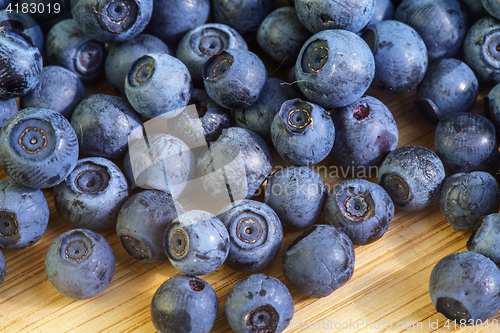 Image of Bilberry Close Up