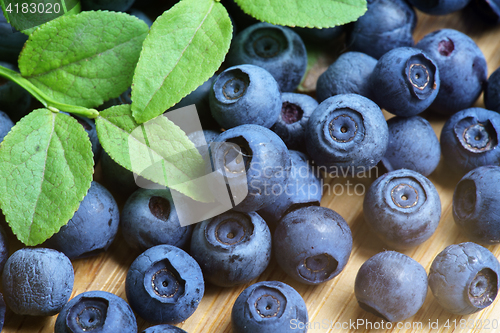 Image of Bilberry Close Up