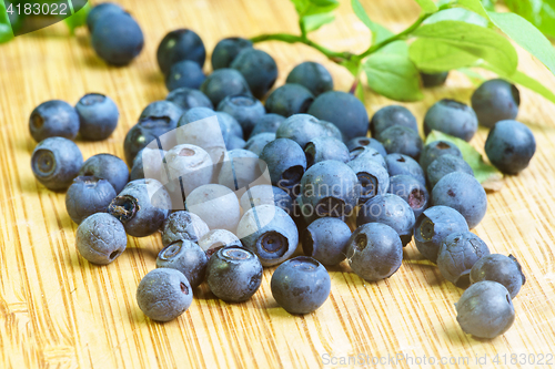 Image of Bilberry Close Up