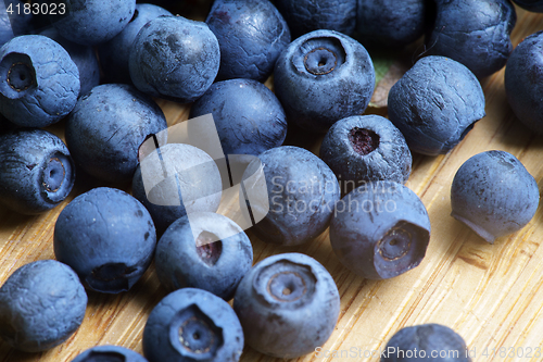 Image of Bilberry Close Up