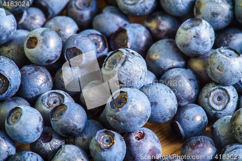 Image of Bilberry Close Up