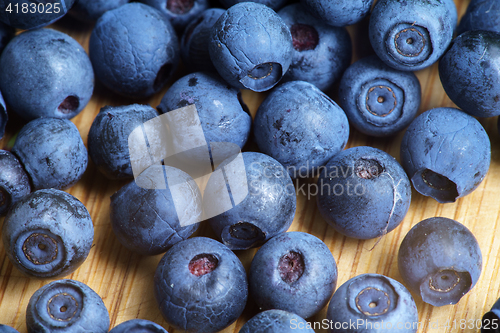 Image of Bilberry Close Up