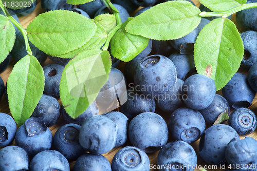 Image of Bilberry Close Up