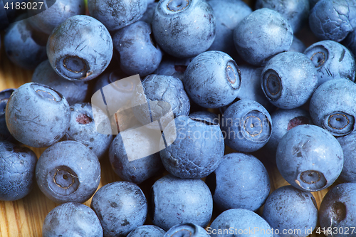 Image of Bilberry Close Up