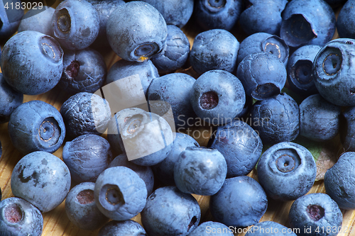 Image of Bilberry Close Up