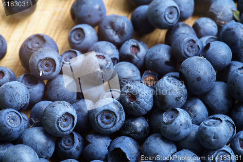 Image of Bilberry Close Up