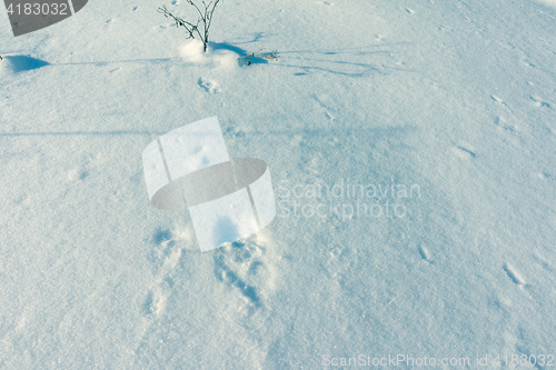 Image of Snow Background Texture