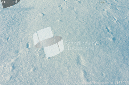 Image of Snow Background Texture