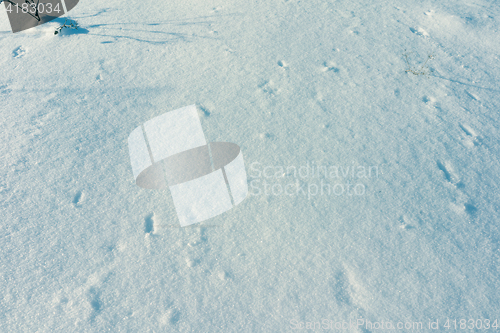 Image of Snow Background Texture